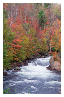 Serenity Prayer Water Falls